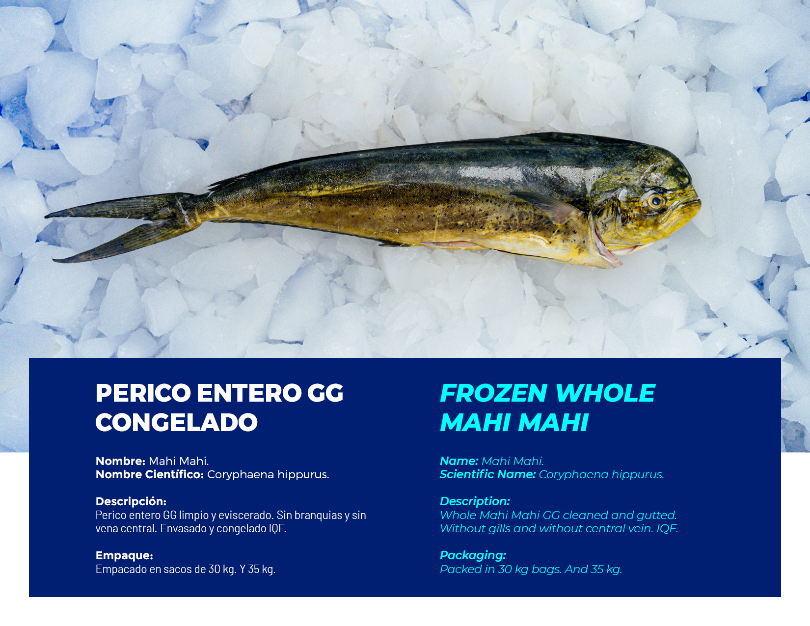 brochure 1